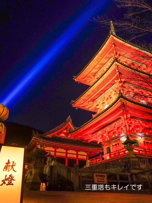 混んでいても行きたい京都の定番【清水寺】