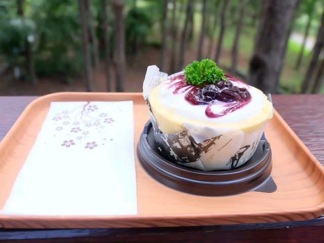 cedar ป่าสนคาเฟ่ @ เขาค้อ