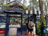 Enchanted Escape at Orchid Forest Cikole