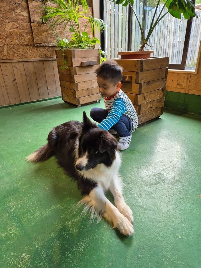 PAW Pet Animal World Nagasaki