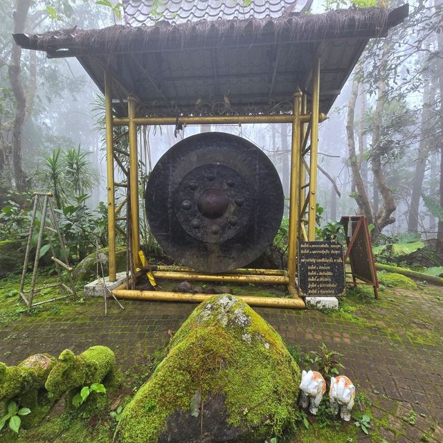 พระธาตุดอยช้างมูบ เชียงราย 🐘🏔