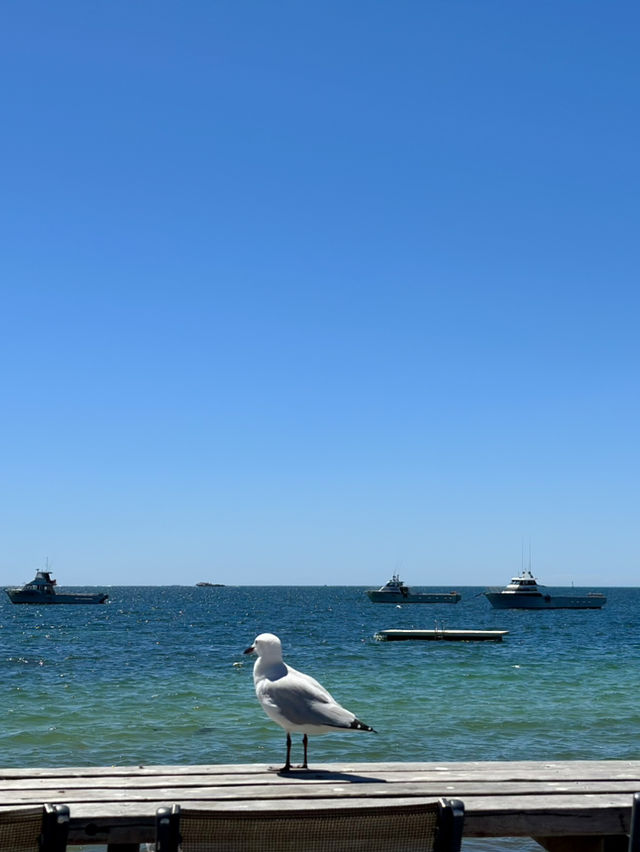 How to spend 4 days in Perth