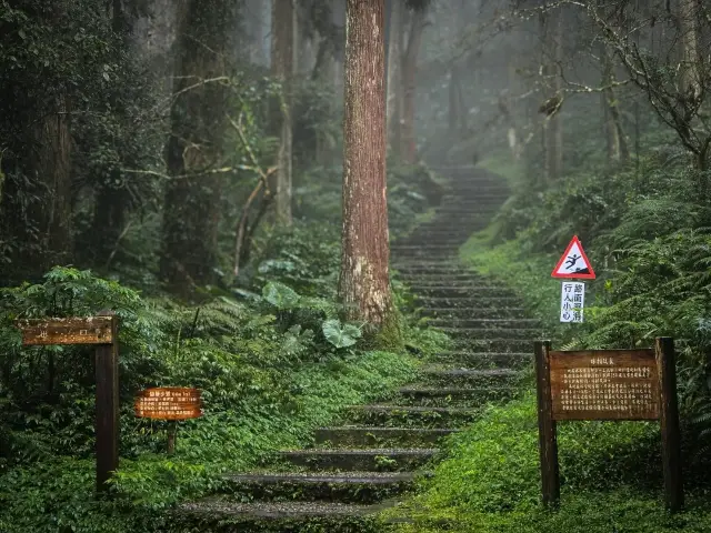 寧靜的自然之旅