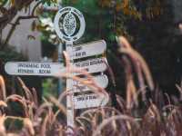 Thames valley khaoyai