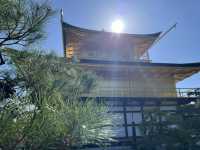 The Golden Pavilion: Kyoto’s Majestic Treasure