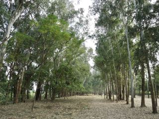 Hong Kong’s Hidden Wetlands: Our Nam Sang Wai Cycling Trip