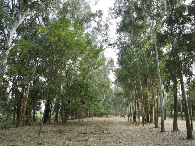 Hong Kong’s Hidden Wetlands: Our Nam Sang Wai Cycling Trip
