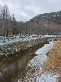 눈맞으며 힐링하기 좋은 대전여행지❄️
