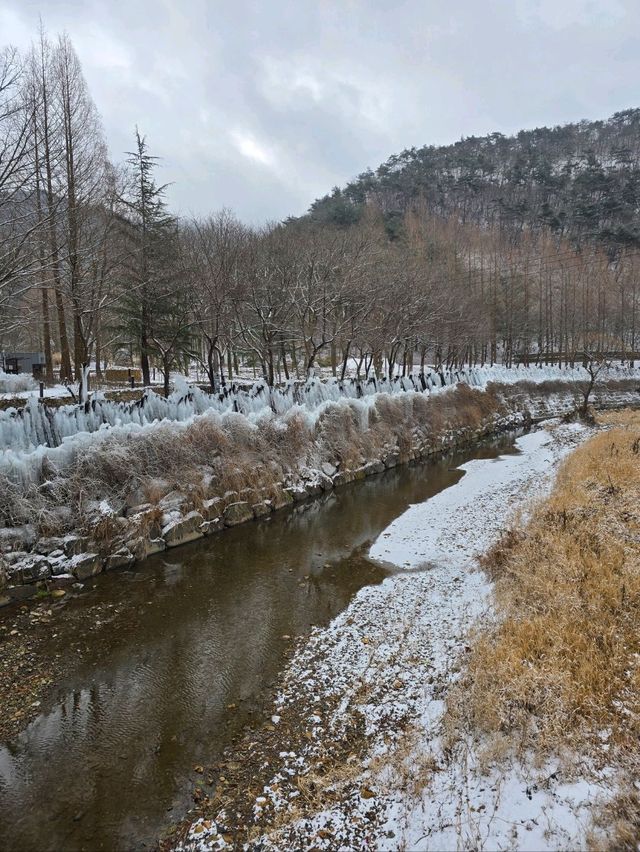 눈맞으며 힐링하기 좋은 대전여행지❄️