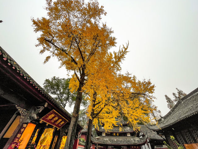 文殊院...청두