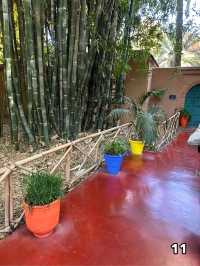 🇲🇦マラケシュ　マジョレル庭園