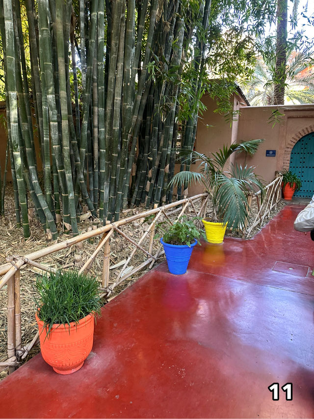 🇲🇦マラケシュ　マジョレル庭園