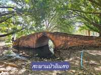 สะพานป่าดินสอ: มรดกโบราณแห่งเมืองกรุงเก่า