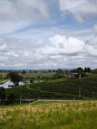 Gems of Chiang Mai and Chiang Rai