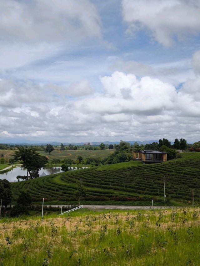 Gems of Chiang Mai and Chiang Rai