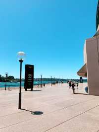 Circular Quay: Where Sydney Comes to Life