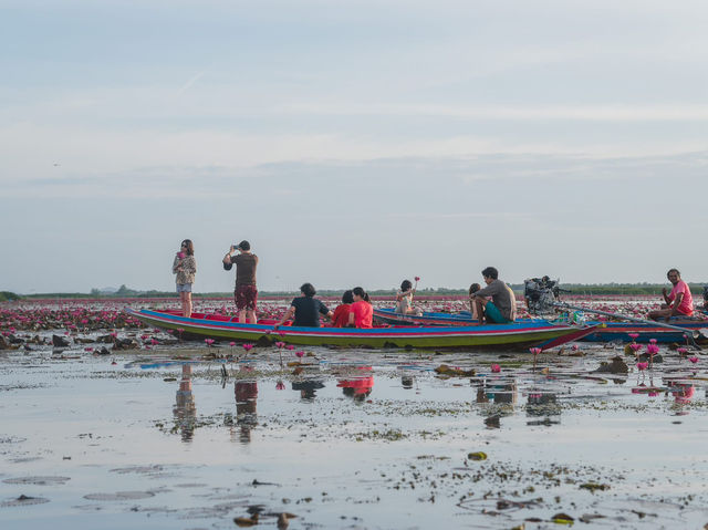 PHATTHALUNG 🌱🌤️