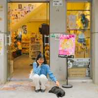 Xin'an Ancient City / Nantou Ancient Town Museum