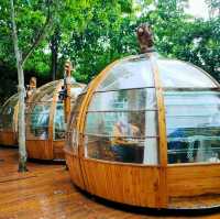 Three Monkeys ร้านอาหารสไตล์บาหลีชื่อดังในภูเก็ต