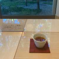 【佐賀】嬉野温泉