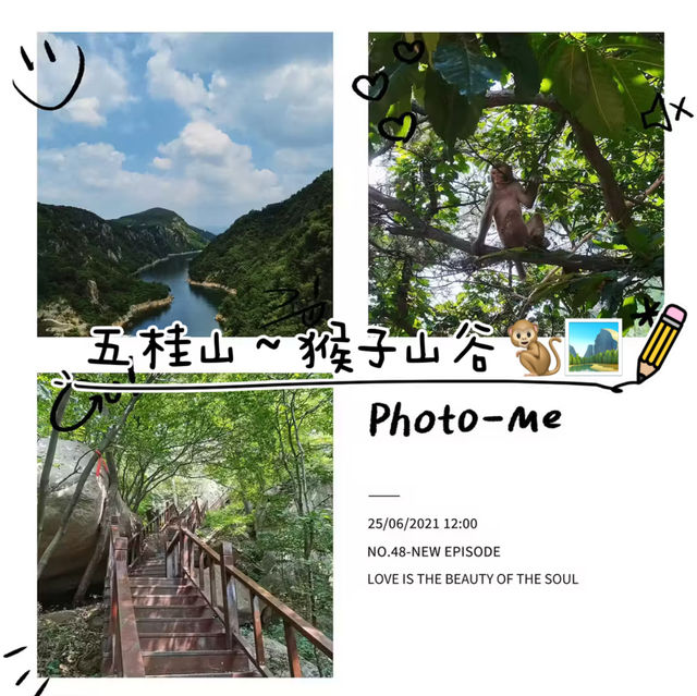 五桂山：猴子與水庫的山谷🐒🏞️