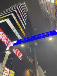 東京5日4夜行程