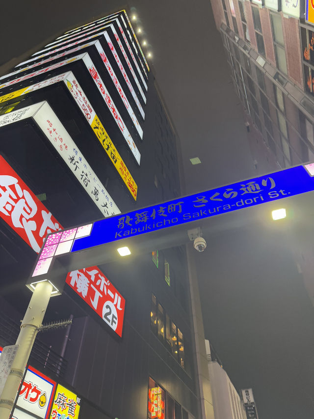 東京5日4夜行程