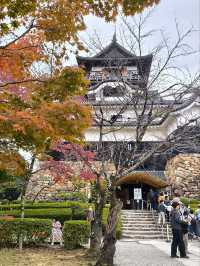 Day tour Nagoya - Inuyama castle 🏯