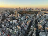 東京澀谷一日遊，感受活力與驚喜
