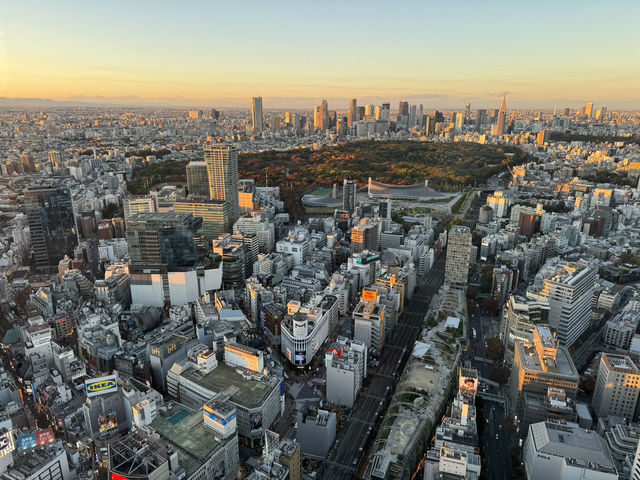 東京澀谷一日遊，感受活力與驚喜