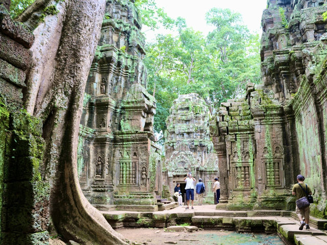 Where Nature and History Intertwine: Ta Prohm Temple 