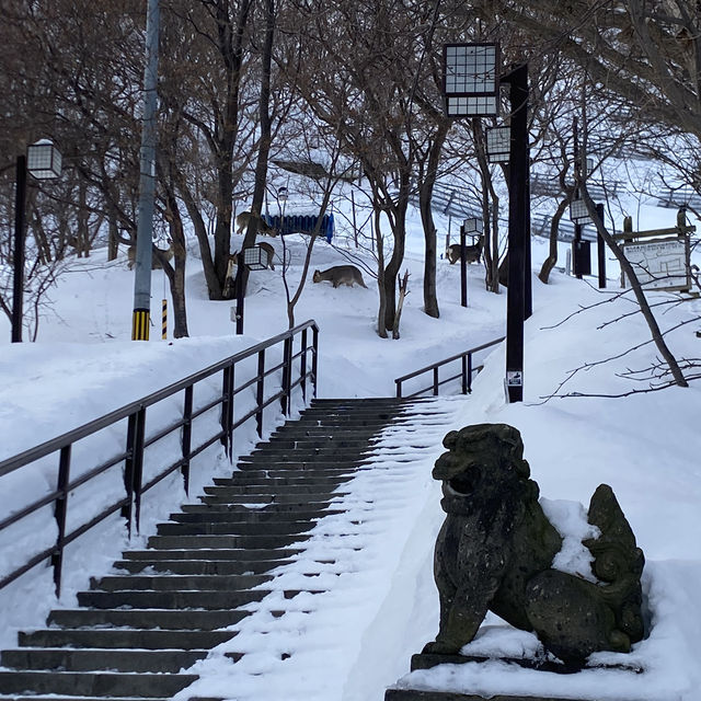 Winter Day in Wakkanai