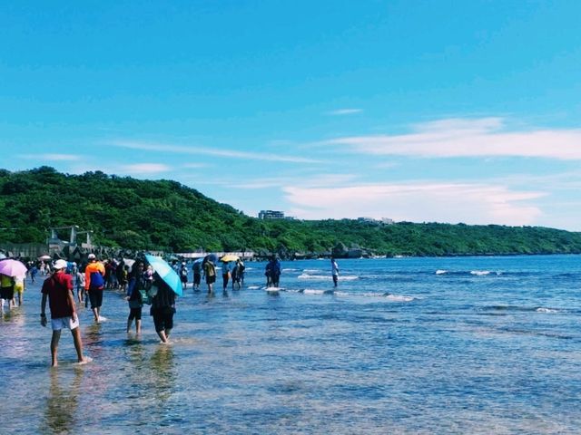 🦀 小琉球潮間帶探險：踏上奇幻的生態之旅