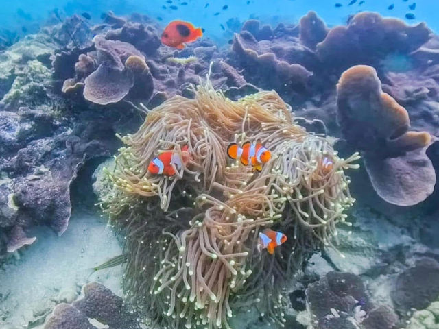 ทะเลพม่า