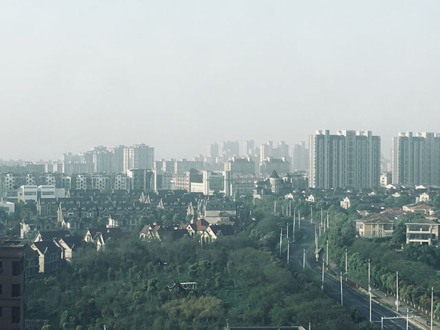 Lost in a Sea of Blossoms: Zhenjiang Shi