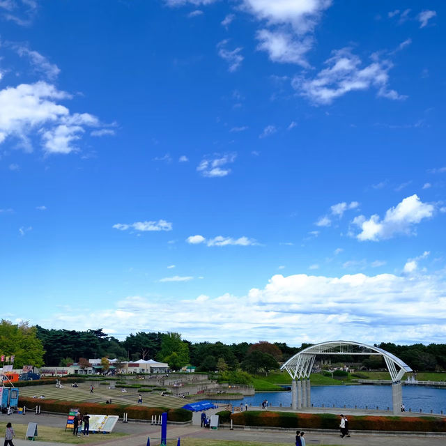 紅色波波草的夢境 🌈天空公園