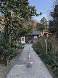 「紫陽花寺」寧靜禪修 鎌倉明月院 #日本古都