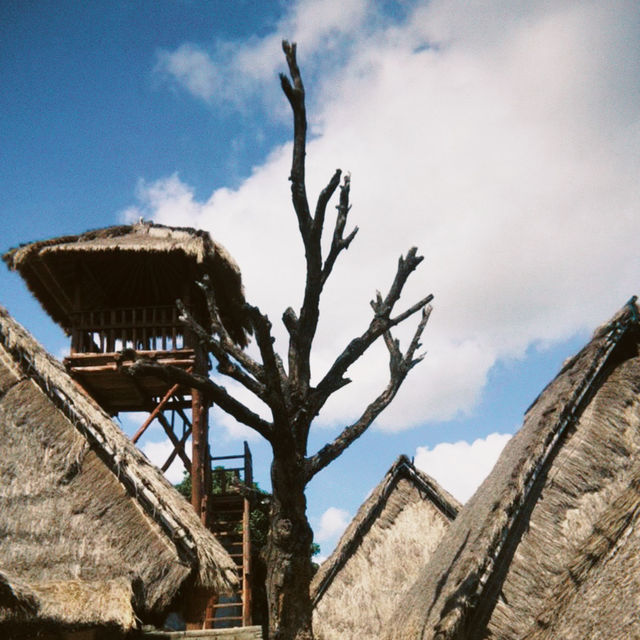 A Celebration of Culture and Tradition
