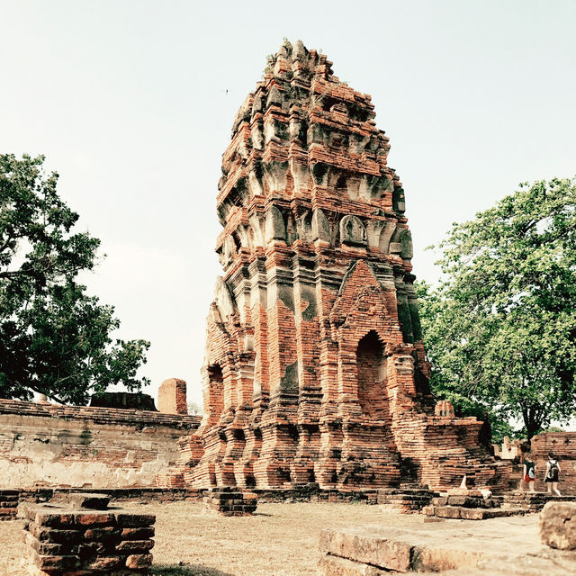 Timeless Wonder at Wat Mahathat