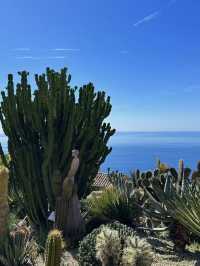 Le Jardin Exotique: A Hidden Botanical Gem in Nice