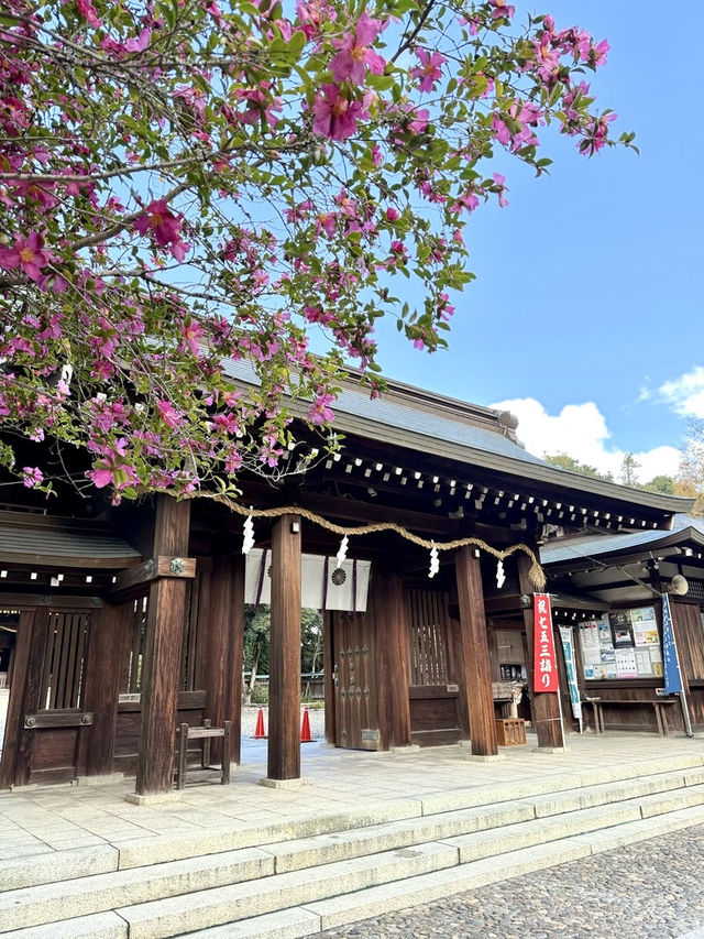 【和歌山県】日本書紀ゆかりの神社