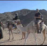 Desert Thrills and Tranquility: Quad Bikes and Camels in Sharm El Sheikh