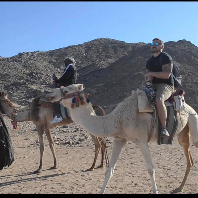 Desert Thrills and Tranquility: Quad Bikes and Camels in Sharm El Sheikh