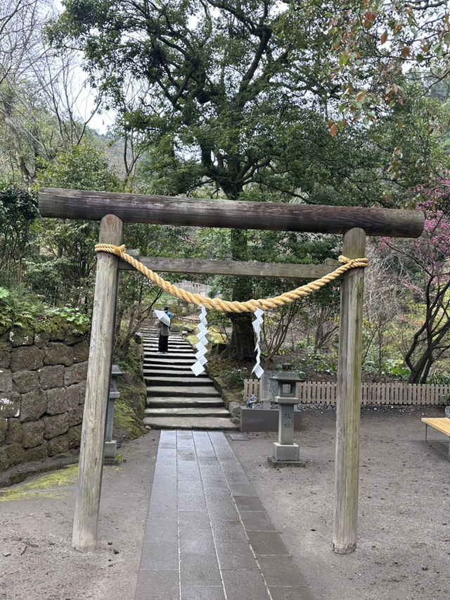鹿兒島仙巖園遊記 - 微雨下遠觀櫻島