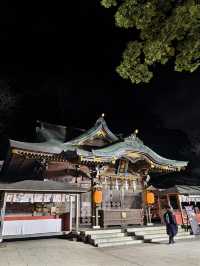 東京一座小島—江之島