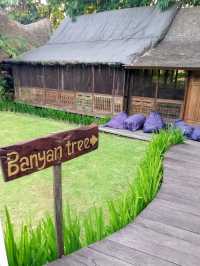 The Yoga Barn: more than just a regular yoga studio
