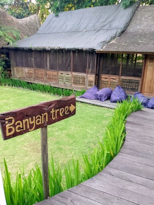 The Yoga Barn: more than just a regular yoga studio