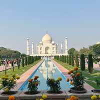 世界で最も美しい愛の象徴🇮🇳✨