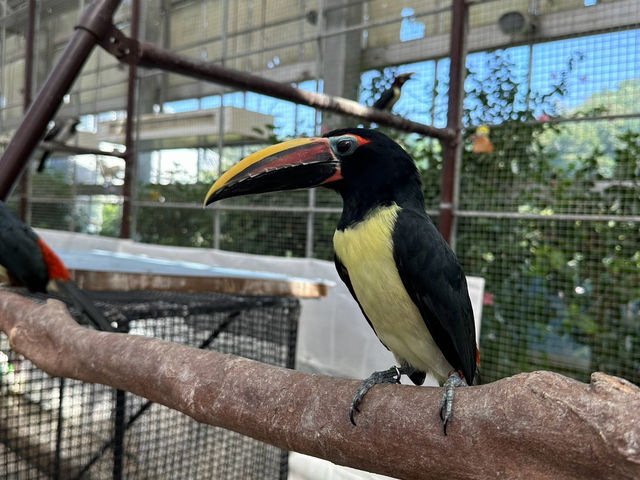 【掛川花鳥園】