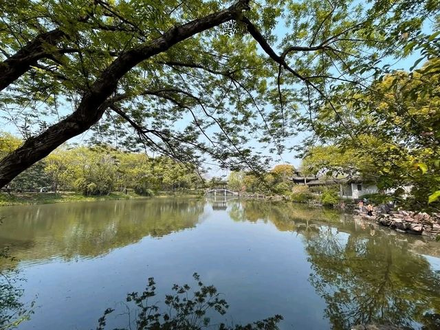 西溪濕地，搭搖櫓船體驗靜謐的濕地生態風光